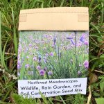Northwest Meadowscapes seeds