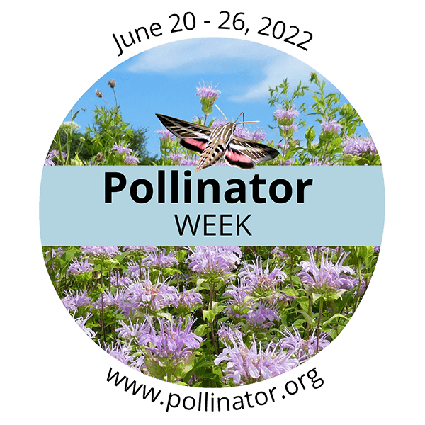 Pollinator Week June 20-26, 2022
